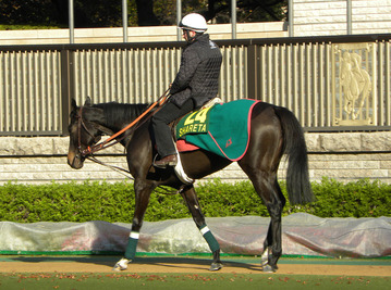 24シャレータ001