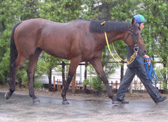 アーネストリー後