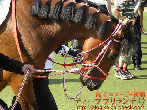 祝日本ダービー優勝