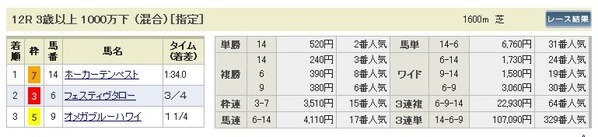 最終_1215日中山12_2