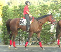 サンダルフォン後