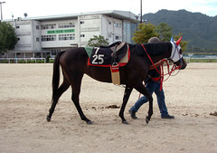 トゥニーポート