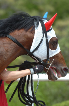 ステイマックス1-枝ハミ口出血
