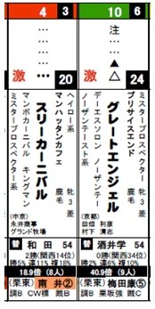 データ新聞_0127京都２R