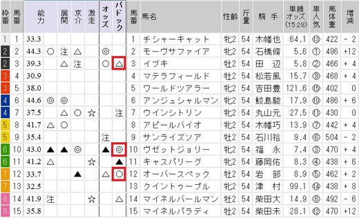 0828新潟２歳回顧トップ２