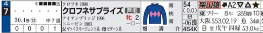 チェック_1209日阪神11クロフネ