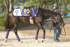 ファリダット後