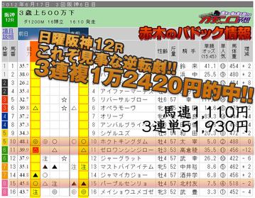ガチンコ_６月17日阪神12R1
