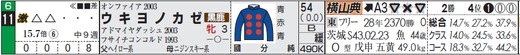 チェック_フェアリーウキヨノカゼ