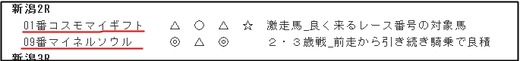 データ_0826日新潟2R