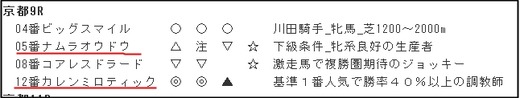 データ_1104日京都9R