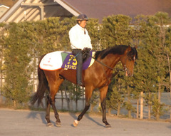 トランセンド後