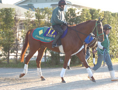 ダノンヨーヨー（１週前）