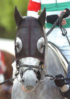 ノーズバンド２