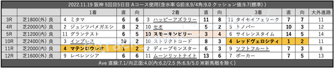 2022.11.19 阪神 5回目5日目 Aコース使用