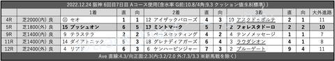 2022.12.24 阪神 6回目7日目 Aコース使用