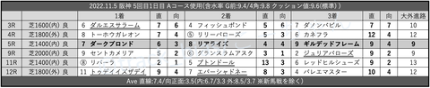 2022.11.5 阪神 5回目1日目 Aコース使用