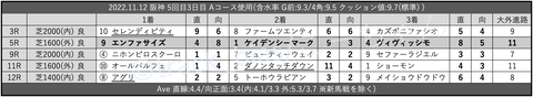 2022.11.12 阪神 5回目3日目 Aコース使用