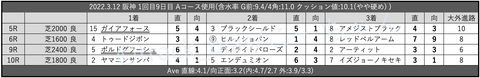 2022.3.12 阪神 1回目9日目 Aコース使用