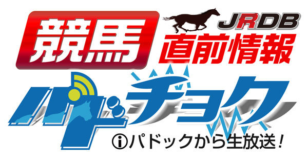 パドチョクロゴ600