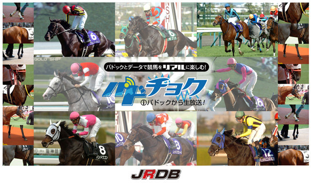 パドチョクバナー（2月末更新版）