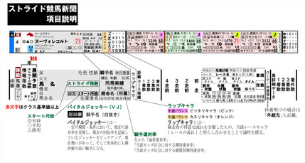 ストライド競馬新聞説明