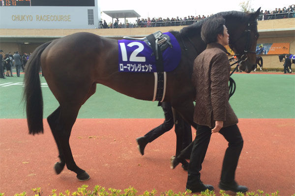 ストライド競馬 - 展開予想・外厩 - -展開を制するものは馬券を制す!-