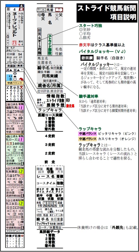 ストライド競馬新聞解説書_縦