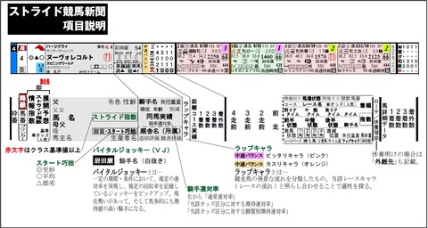ストライド競馬新聞解説書_横