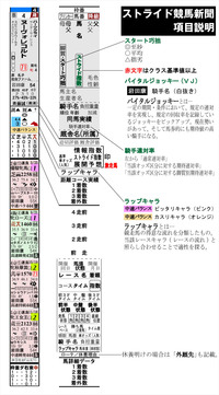 ストライド競馬新聞説明