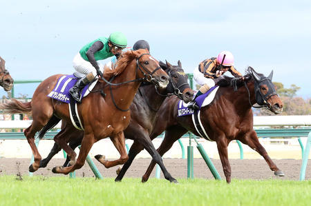 【CBC賞】クリノガウディー、トップハンデ５８キロ