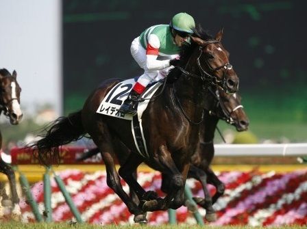 【悲報】オルフェーヴル以降のダービー馬でダービー後にG1を勝ったのがレイデオロだけという事実