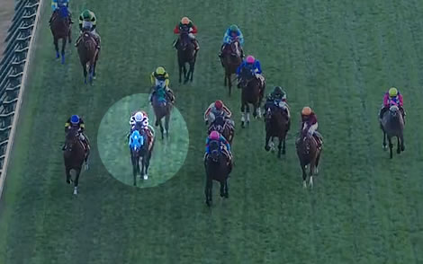 【ステイヤーズS】オジュウチョウサンが頑張ってて泣けたｗｗｗｗｗｗｗｗ