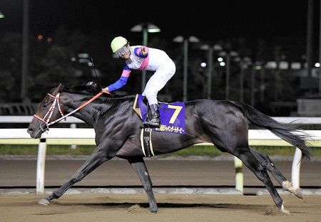 【競馬予想】第20回シリウスステークス(G3)