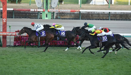 2023年糞騎乗オブザイヤー