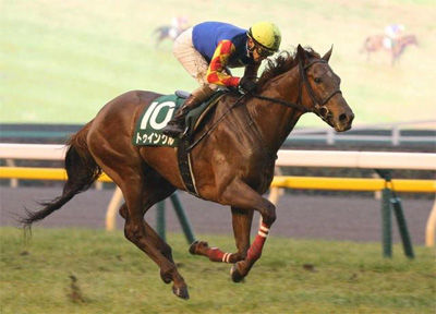【天皇賞･春】トゥインクルが化け物の可能性