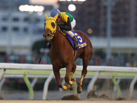 【競馬】サウンドトゥルーはフェブラリーS使わずにJpn路線中心へ