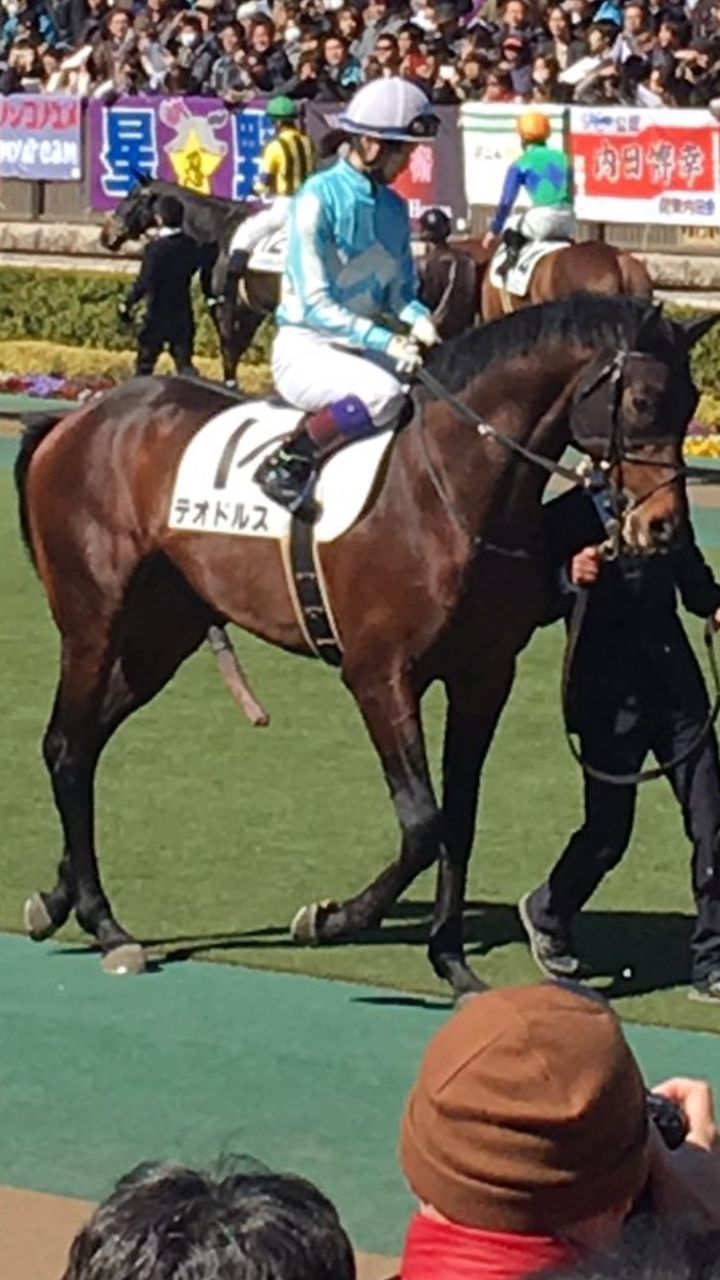 warakora アイコラ イタリアの陸上選手、レース中に性器がはみ出てしまい、隠そうとして失速 [415121558]