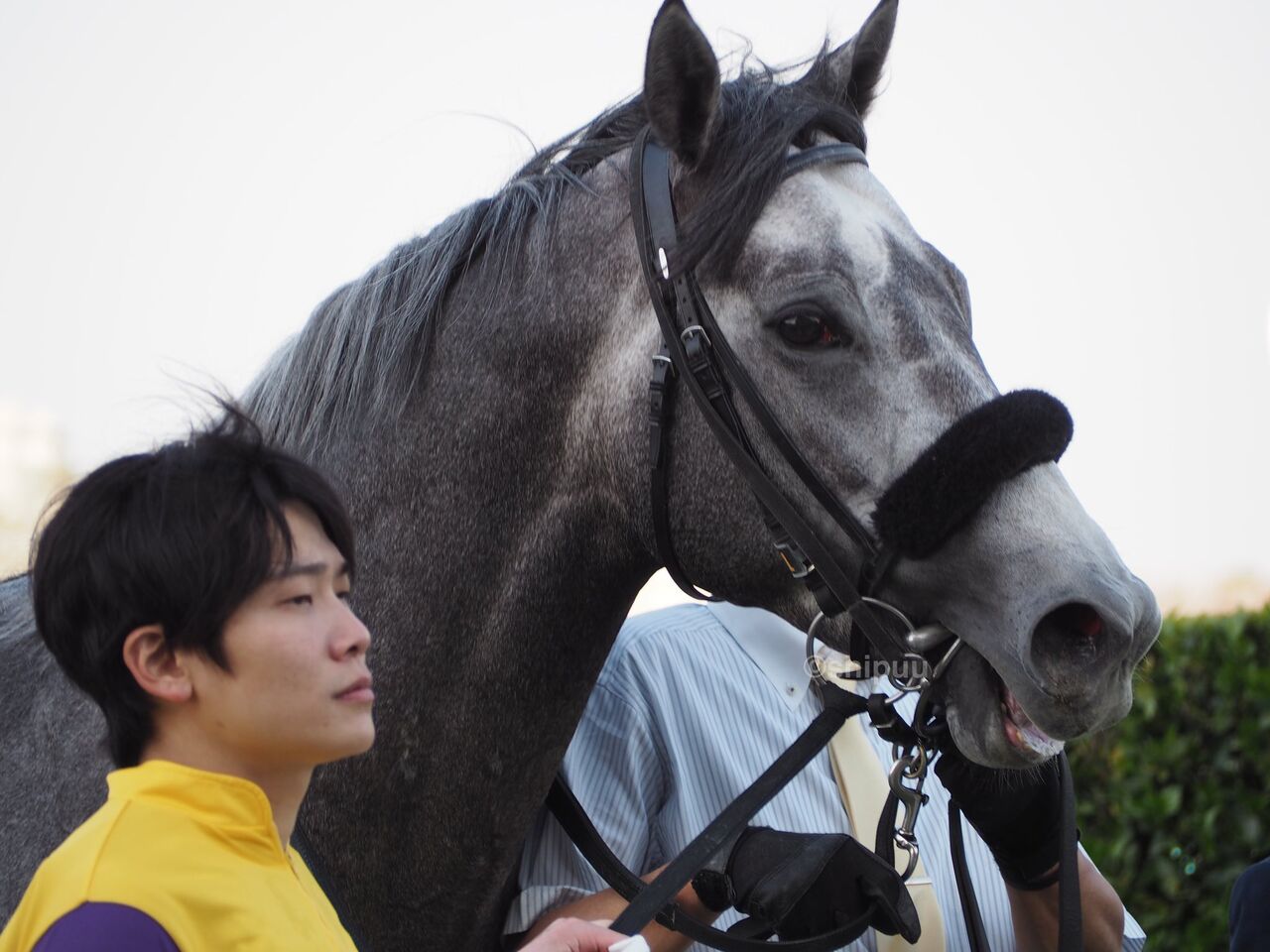 競馬ファンのこえ【リワードマレンゴ】4/10中山12Rダ1200 4歳上2勝クラスコメントする