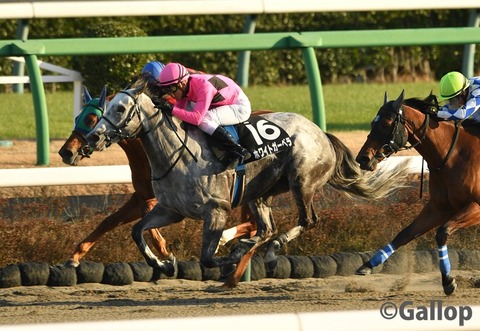 FlC19OPaUAArLlO