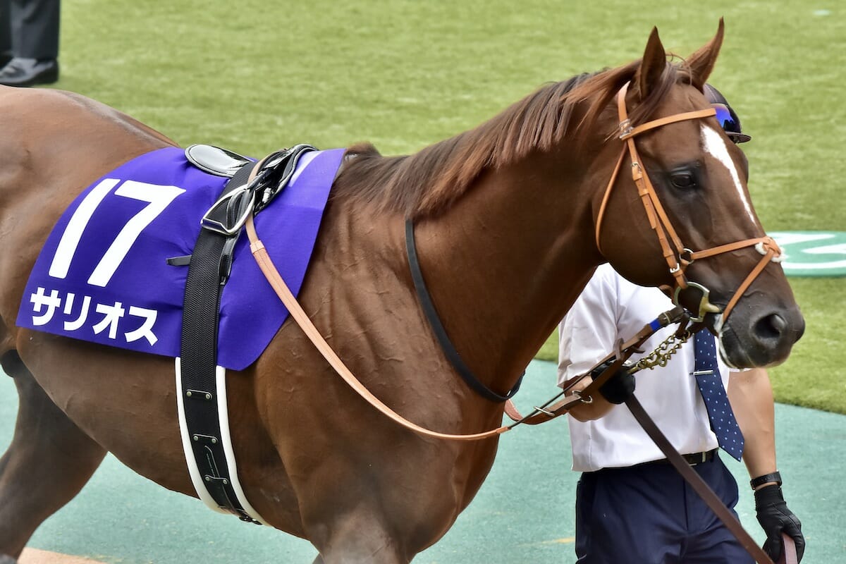 サリオス 毎日王冠 前日売り1番人気 競馬ファンのこえ