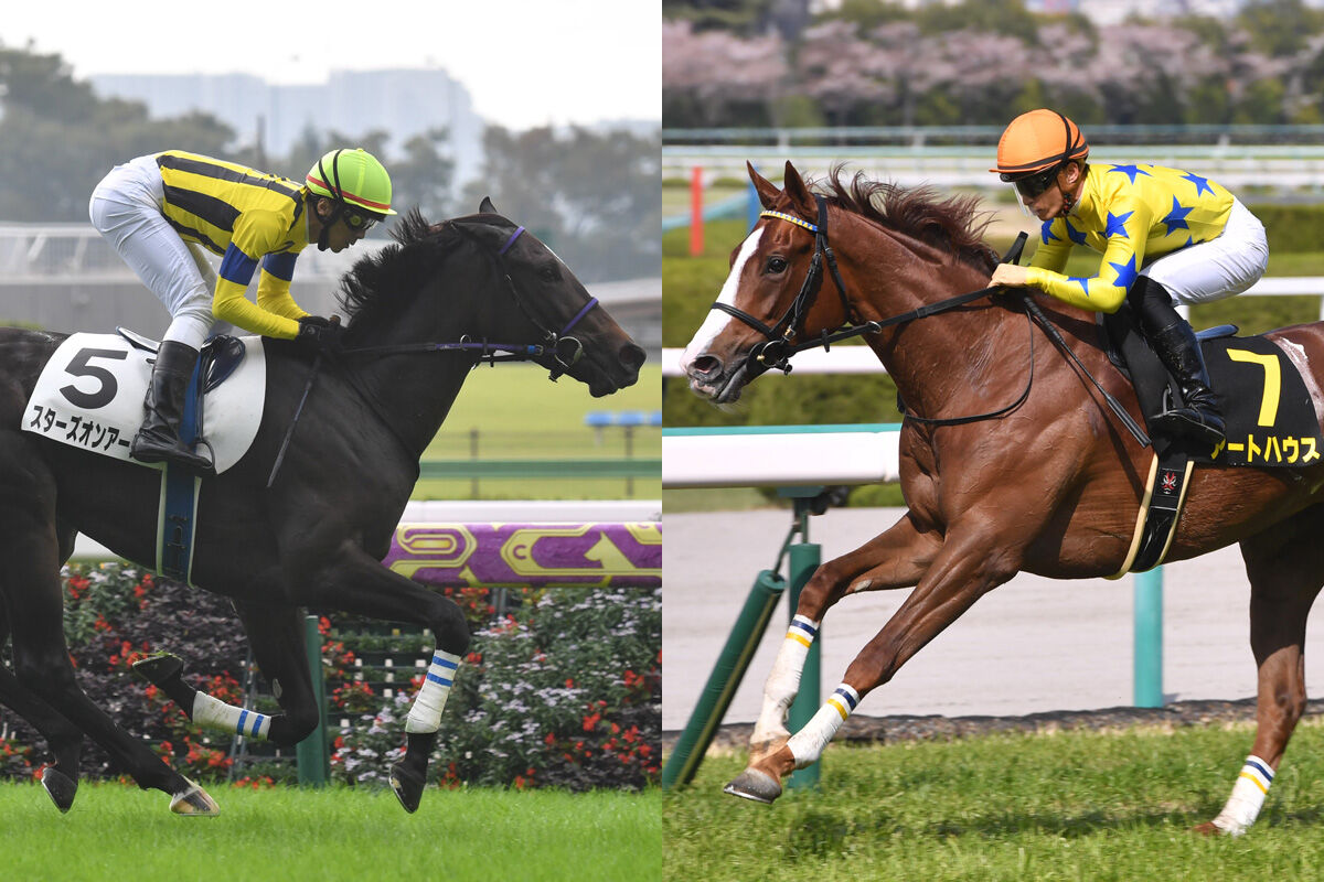 アートハウス オークス2枠3番 競馬ファンのこえ