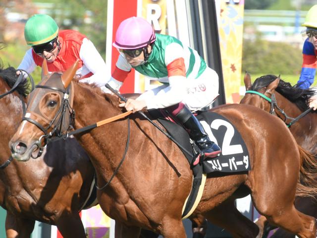 スリーパーダ 10 23阪神9r 芝10 北摂特別 3歳上2勝クラス 競馬ファンのこえ