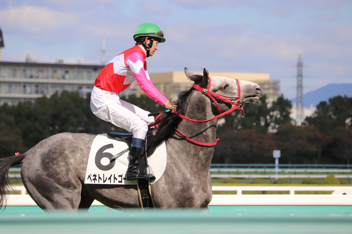 ペネトレイトゴー 新馬戦マイネルエンペラーの2着だったが 覚えておいてほしい 競馬ファンのこえ
