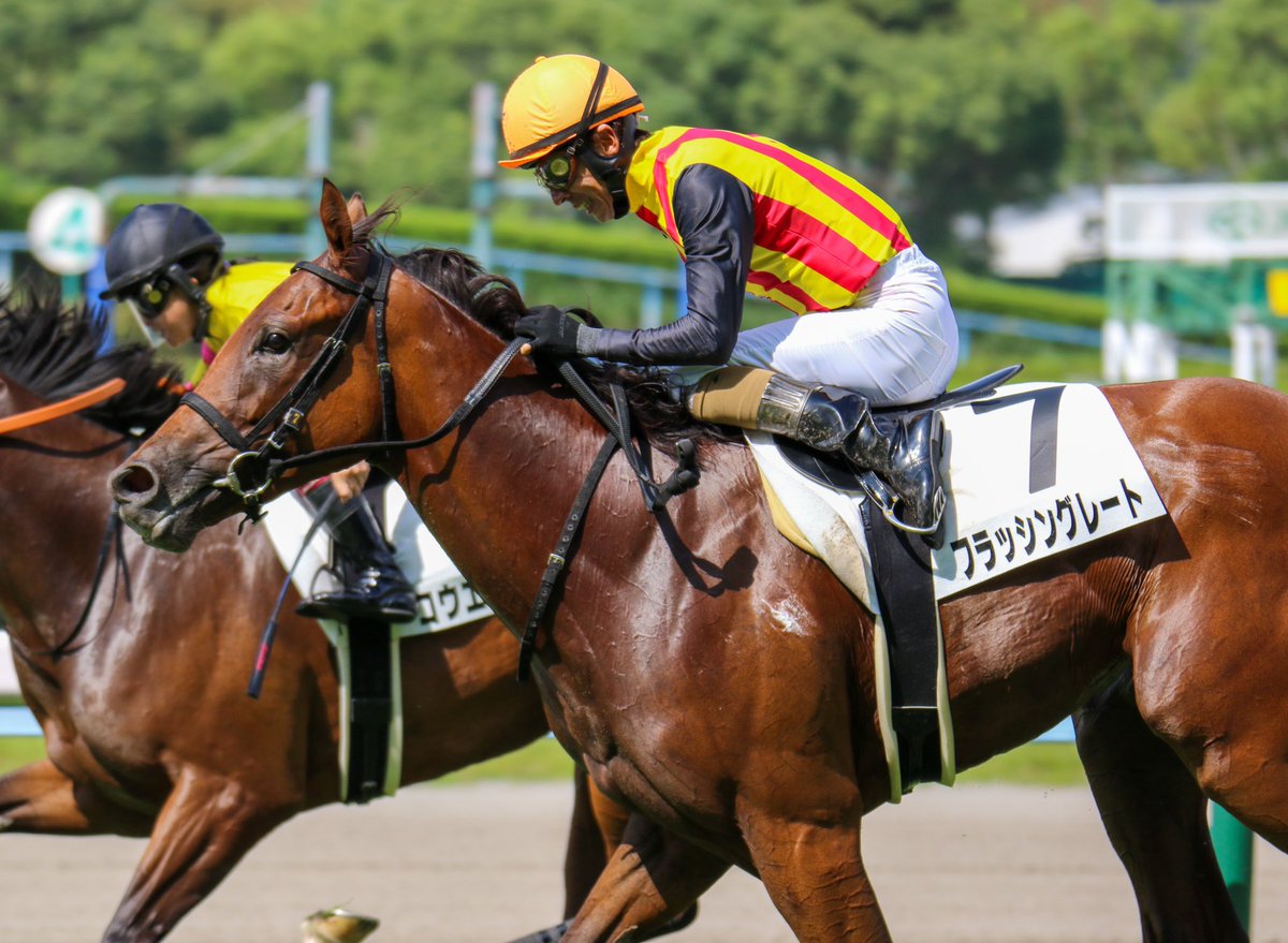 フラッシングレート 8 27小倉1r 芝1800 2歳未勝利 競馬ファンのこえ