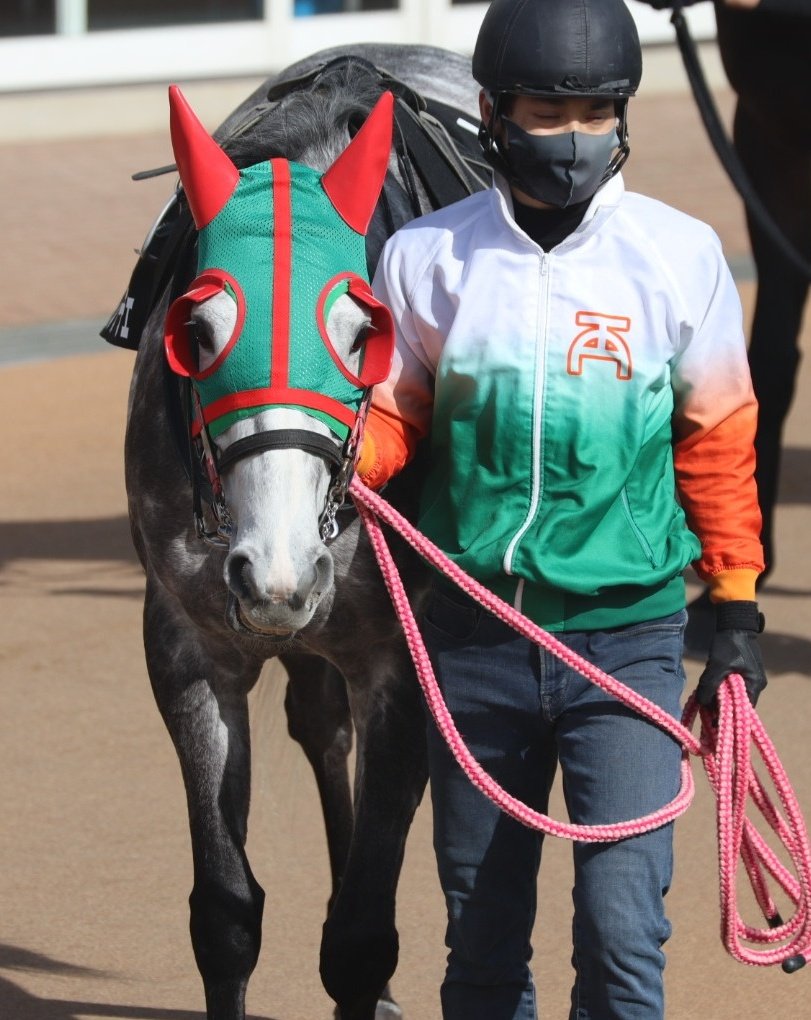 エドノフェリーチェ 3 6中山9r芝20 湾岸s4歳上3勝クラス 競馬ファンのこえ