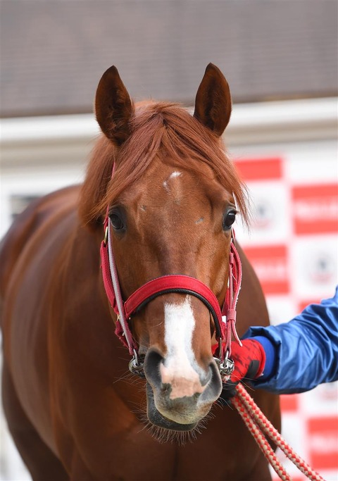 ope22020204560002-p1