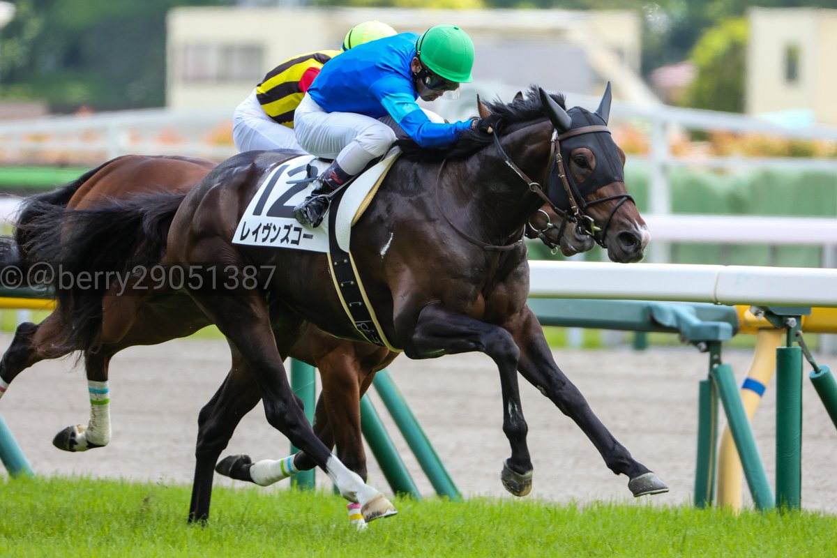 競馬ファンのこえ【レイヴンズコー】5/22東京3R 芝1400 3歳未勝利コメントする