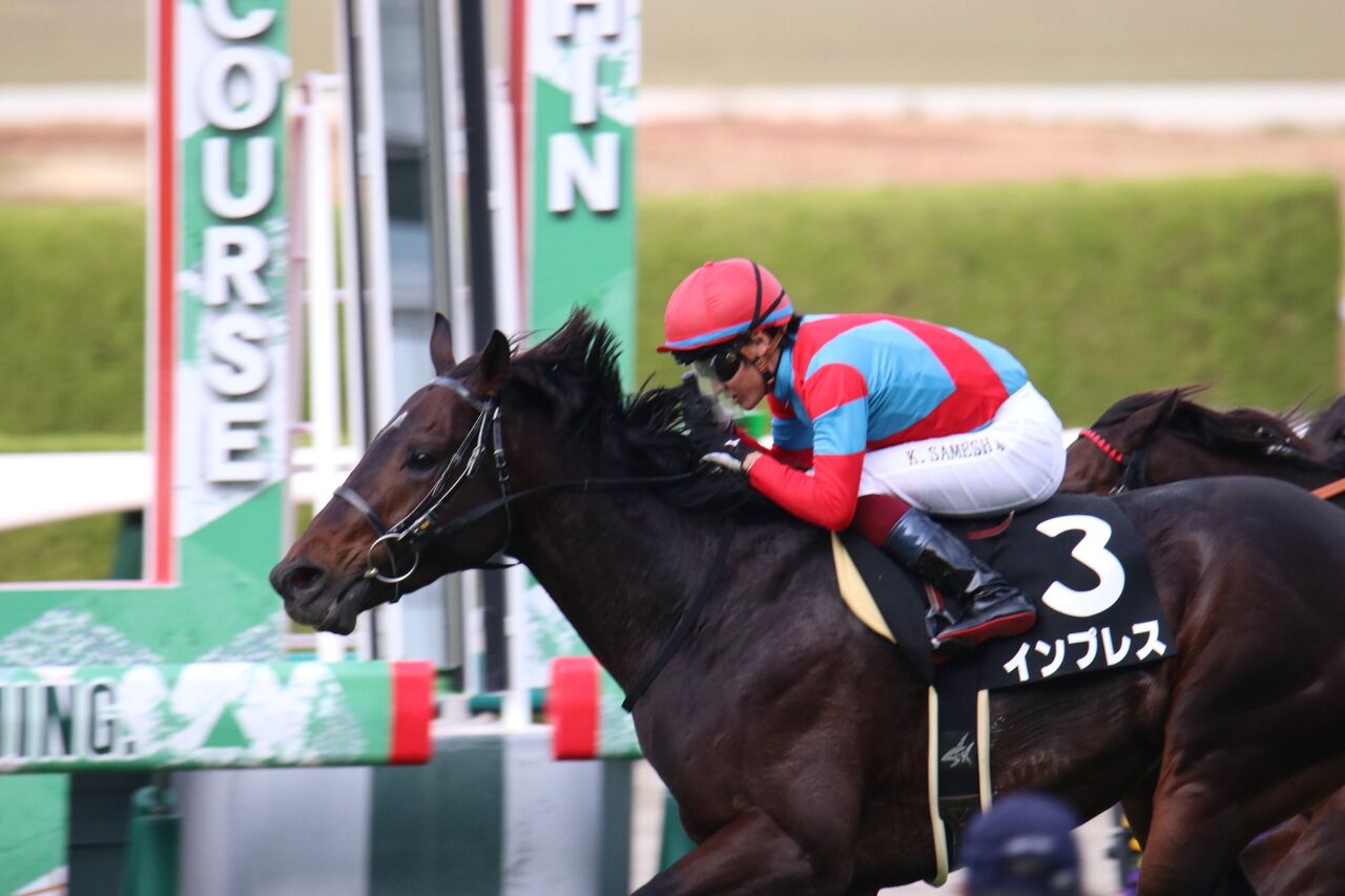 インプレス 11 19阪神10r 芝2400 尼崎ステークス 3歳上3勝クラス 競馬ファンのこえ