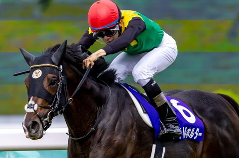 img_260a8f655fdf826c8d728840b2e2165b600081